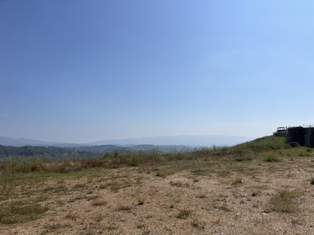 Enlarge photo 47