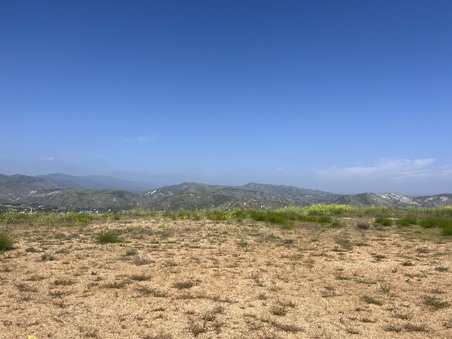 Enlarge photo 33