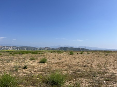 Enlarge photo 35