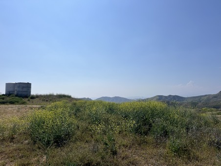 Enlarge photo 51