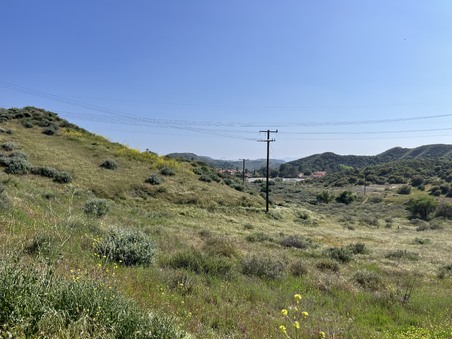 Enlarge photo 25