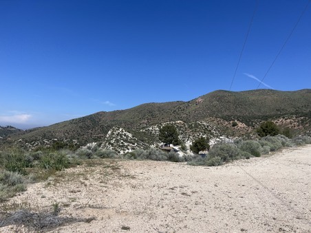 Enlarge photo 41
