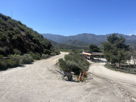 Enlarge photo 42