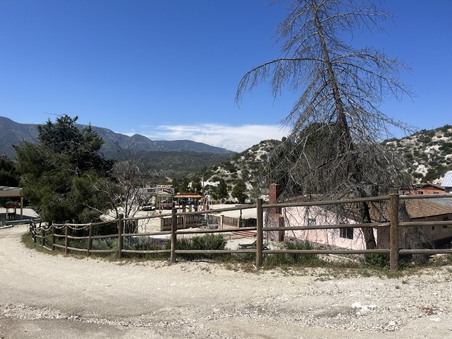 Enlarge photo 9