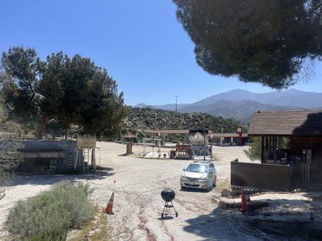 Enlarge photo 81