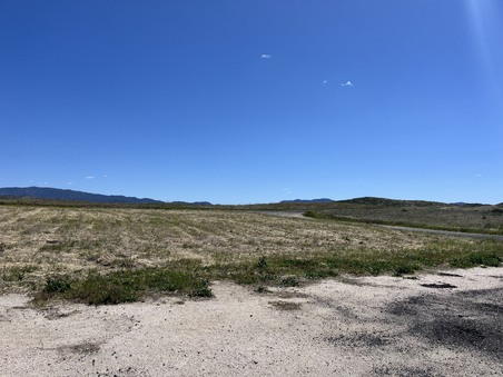 Enlarge photo 16