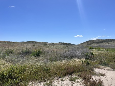 Enlarge photo 22