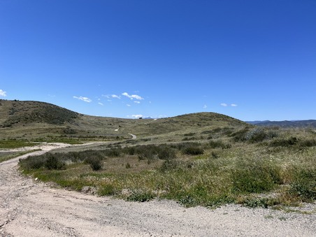 Enlarge photo 25