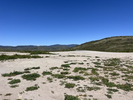 Enlarge photo 32