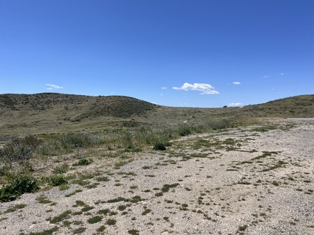 Enlarge photo 35
