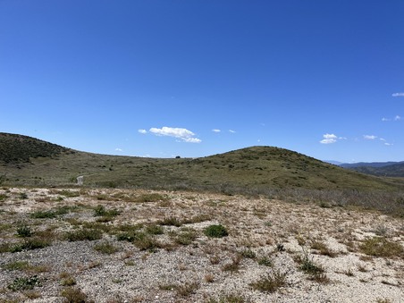Enlarge photo 42