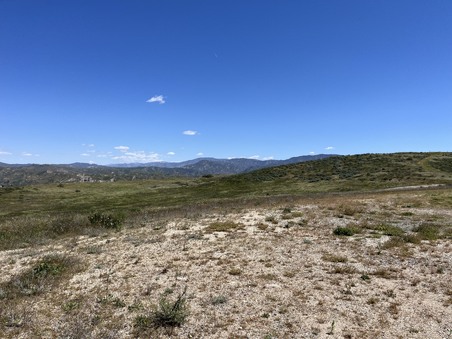 Enlarge photo 45