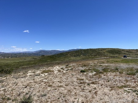 Enlarge photo 47