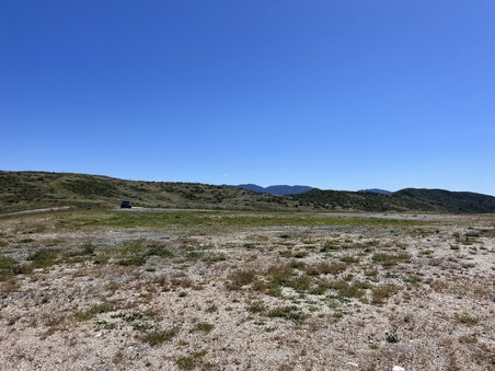Enlarge photo 48