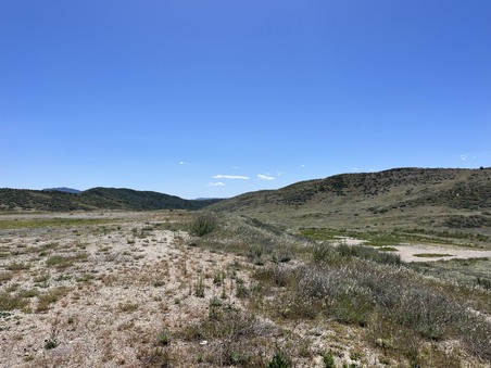 Enlarge photo 49