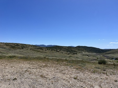 Enlarge photo 50