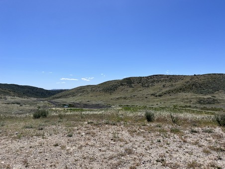Enlarge photo 51