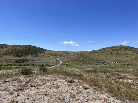 Enlarge photo 52