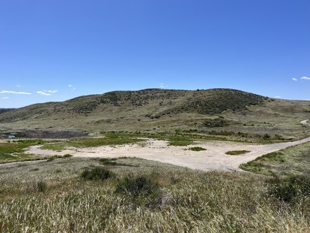 Enlarge photo 53