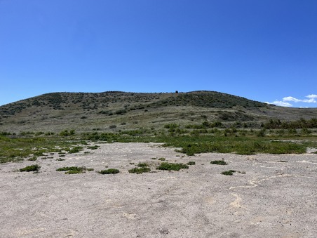 Enlarge photo 54