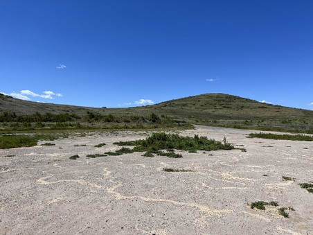 Enlarge photo 55