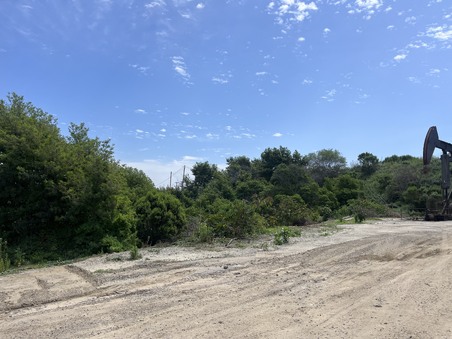 Enlarge photo 47