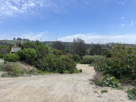 Enlarge photo 37