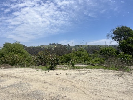Enlarge photo 33