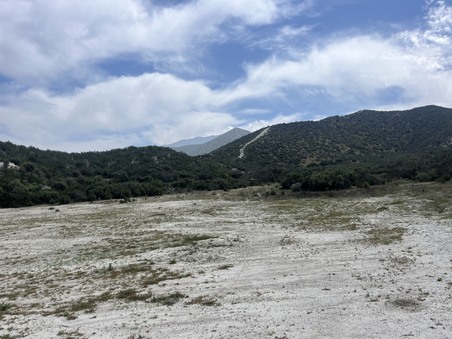 Enlarge photo 55