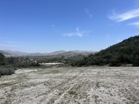 Enlarge photo 44