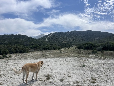 Enlarge photo 28
