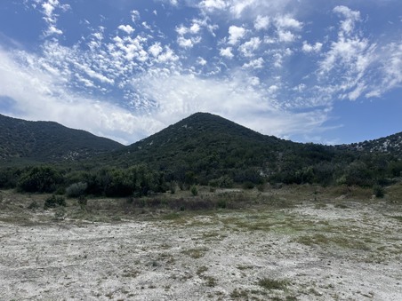 Enlarge photo 40