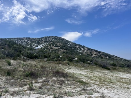 Enlarge photo 62