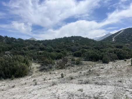 Enlarge photo 13