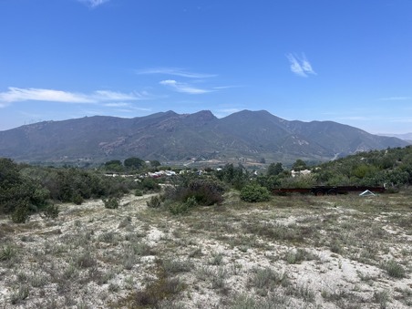 Enlarge photo 35
