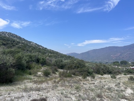 Enlarge photo 47