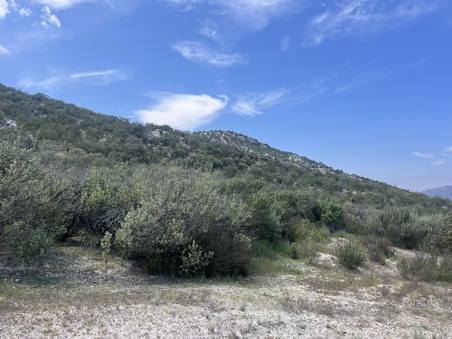 Enlarge photo 19