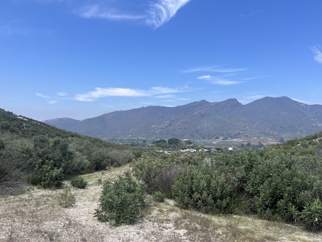 Enlarge photo 51