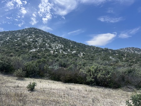 Enlarge photo 20