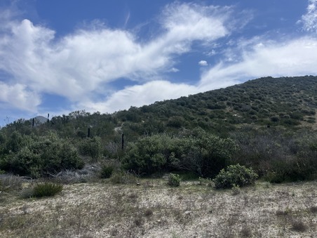 Enlarge photo 36