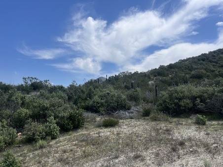 Enlarge photo 29