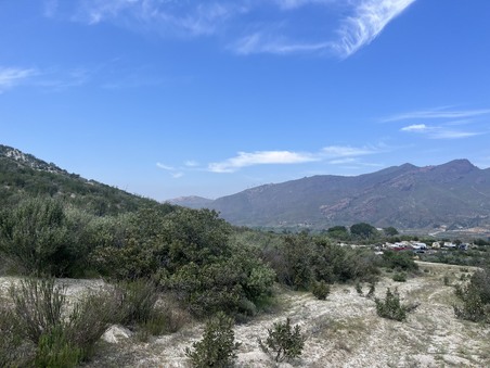 Enlarge photo 52