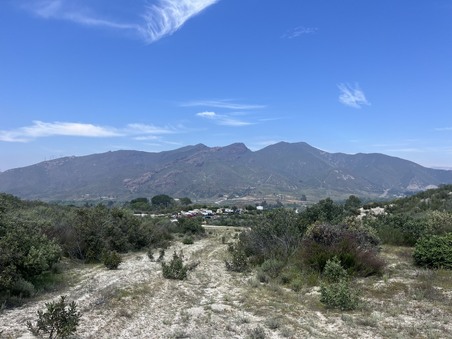 Enlarge photo 57