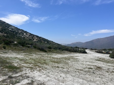 Enlarge photo 41