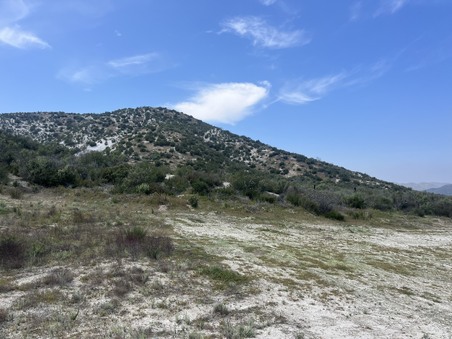 Enlarge photo 37