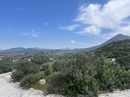 Enlarge photo 65