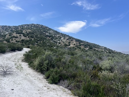 Enlarge photo 32