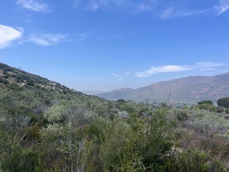 Enlarge photo 67