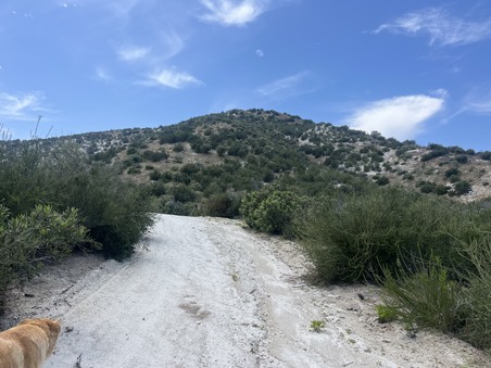 Enlarge photo 38