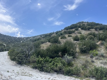 Enlarge photo 43